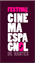 Festival de Cinéma Espagnol de Nantes